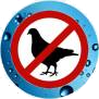 Bird Roofing Services Peoria, AZ